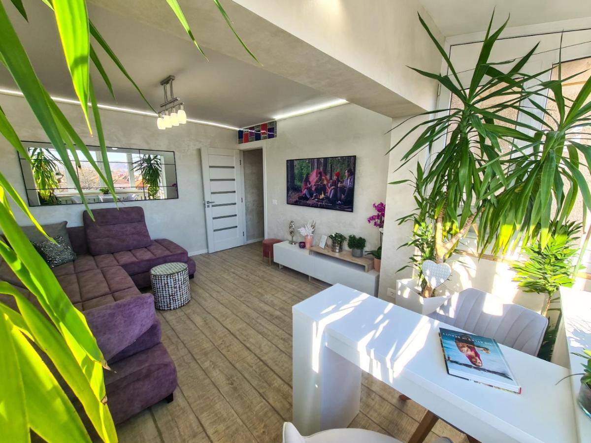 Elisa'S Place Фегераш Екстер'єр фото